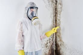 Best Airborne Mold Testing  in Plano, IL